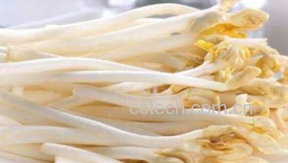 花生芽哪些人不能吃 吃花生芽的禁忌-0