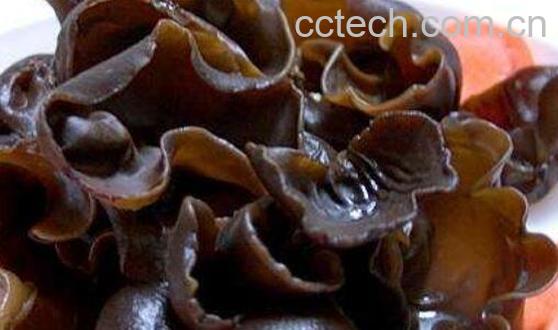 木耳最好不要晚上吃 晚上吃木耳有什么坏处-0