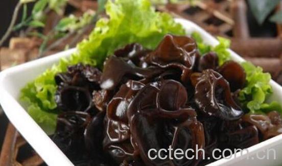 木耳的营养价值及功效-1