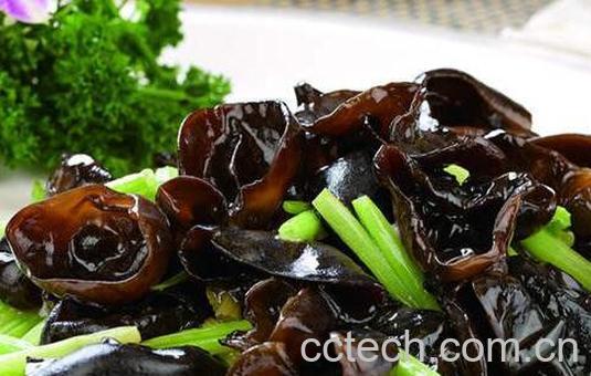 木耳泡多久就不能吃了 木耳泡好了隔夜能吃吗-1