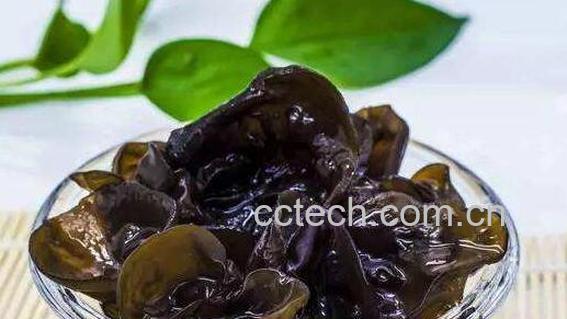 木耳最好不要晚上吃 晚上吃木耳有什么坏处-1