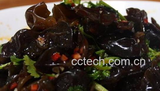 木耳泡多久就不能吃了 木耳泡好了隔夜能吃吗-0