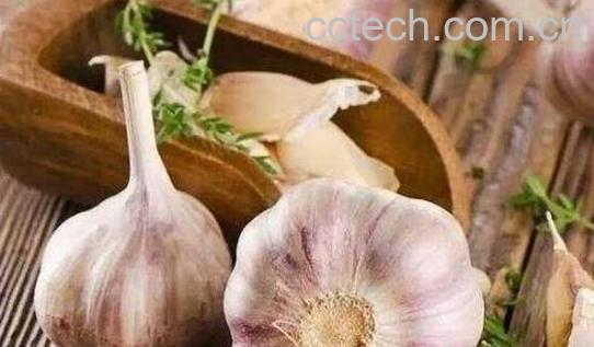 男人为何不能生吃大蒜 一个长期吃大蒜的男人会怎么样-1