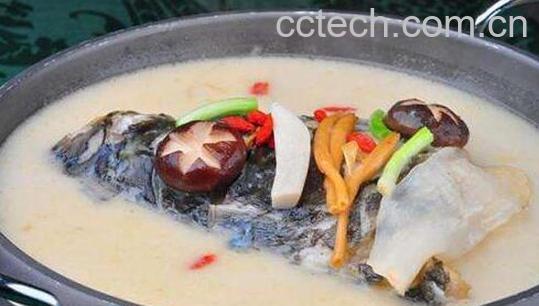 鱼汤怎么烧好吃 鱼汤的正确做法教程-0