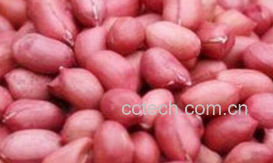 女人经常吃花生的好处和坏处-0