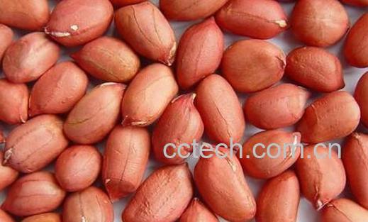 女人经常吃花生的好处和坏处-1