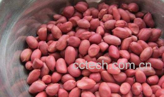 生花生米的功效与作用 生花生米的禁忌-1