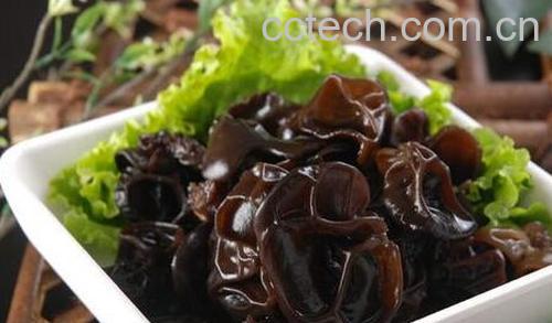 空腹吃木耳的好处和坏处-0