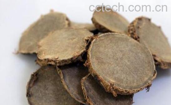 蓝姜的功效与作用 蓝姜的副作用-0