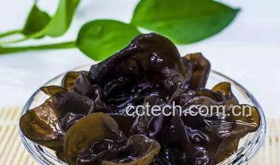 空腹吃木耳的好处和坏处-1