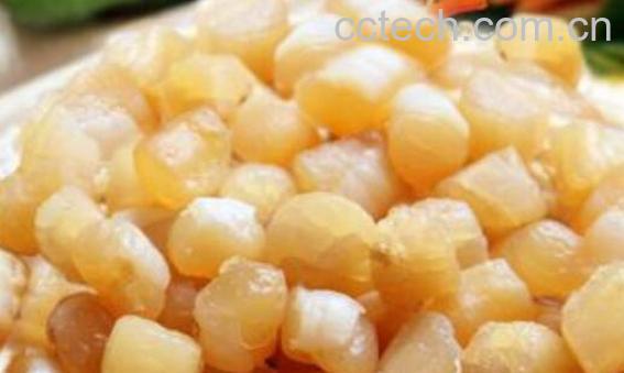 干贝怎么泡发最好 干贝快速泡发技巧-0