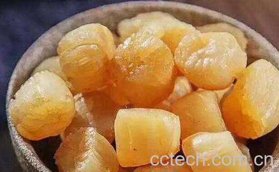 女性吃干贝有什么好处和坏处-0