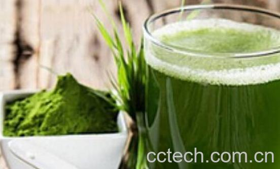 蚂蚁青汁怎么喝才减肥 蚂蚁青汁的副作用有哪些-1
