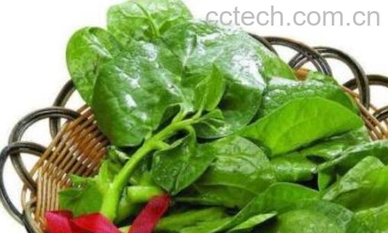 什么人群不能吃木耳菜 木耳菜的禁忌人群-1