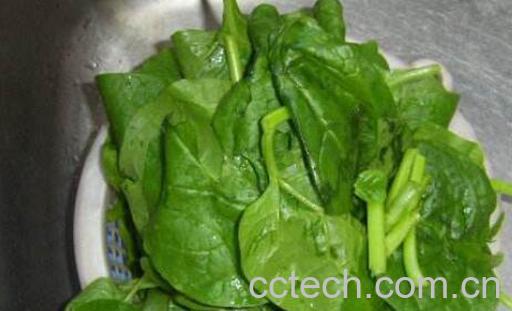 什么人群不能吃木耳菜 木耳菜的禁忌人群-0