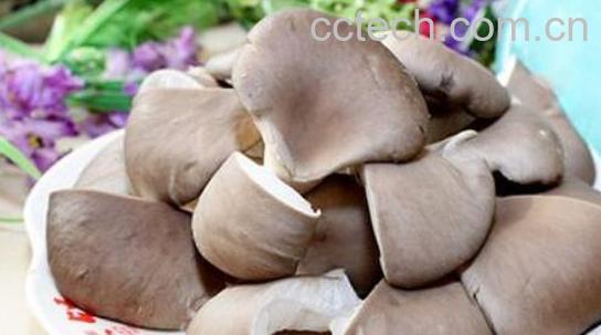 吃平菇的好处和坏处-1