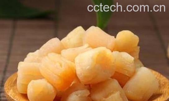 干贝的功效与禁忌-0