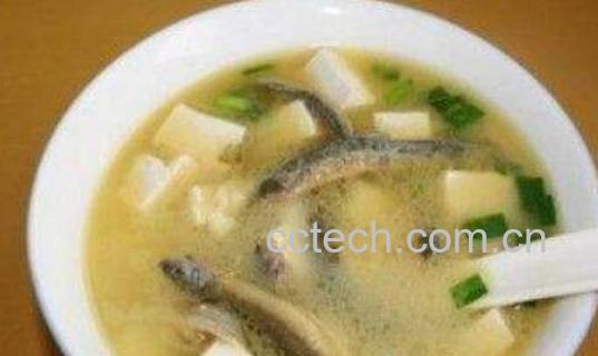 泥鳅汤的功效与作用-1