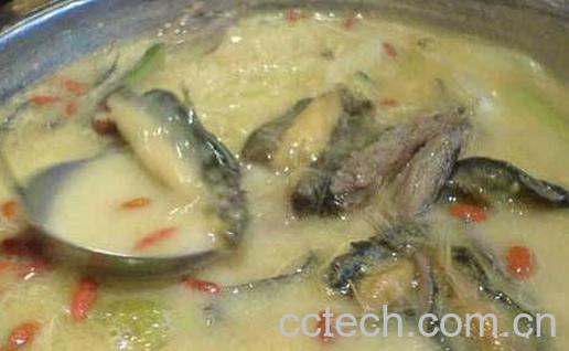 泥鳅汤的功效与作用-0