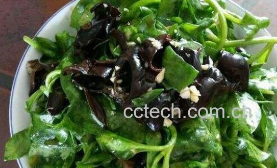 木耳菜怎么做好吃 木耳菜的家常做法-0