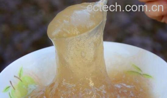 葛根粉的作用与功效 葛根粉的禁忌-0