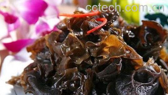 芥末木耳汁怎么调 芥末木耳怎么做-1