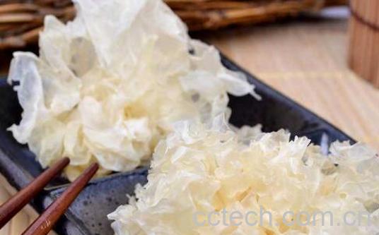 银耳快速出胶的窍门与技巧-0