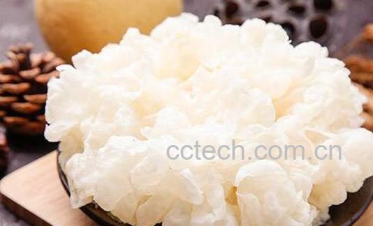 银耳快速出胶的窍门与技巧-1