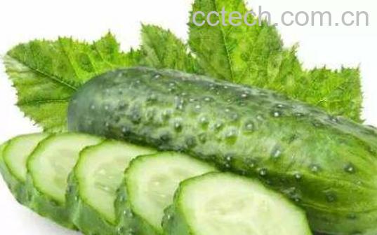 生吃黄瓜和黄瓜汁的区别 生吃黄瓜的好处-1