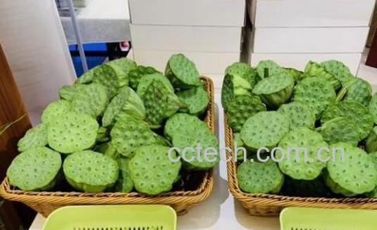 莲蓬菜怎么做好吃 莲蓬菜的家常做法教程-1