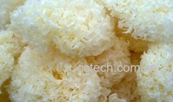 白木耳怎么煮粘稠妙招-1