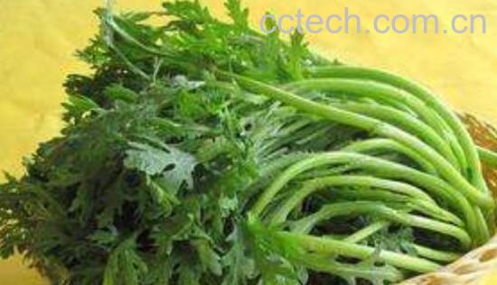 十大最难吃的蔬菜-1