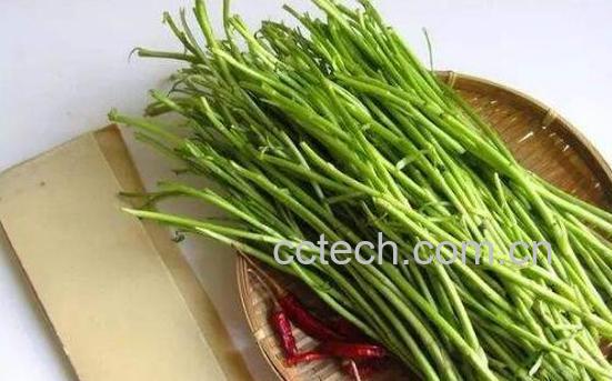 吃芦蒿的好处和坏处-0