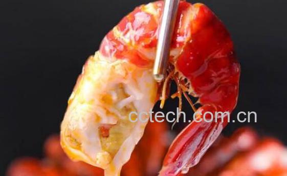 龙虾的营养价值 龙虾的功效-1