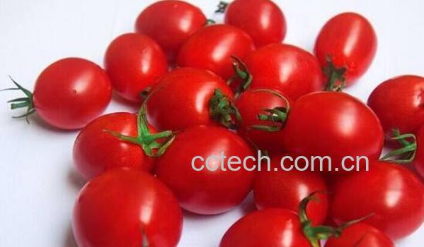 小番茄和圣女果的区别 吃圣女果的好处-0