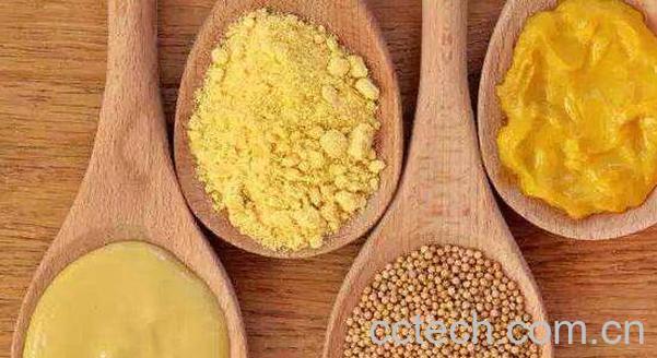 黄芥末和绿芥末的区别 黄芥末的功效-1