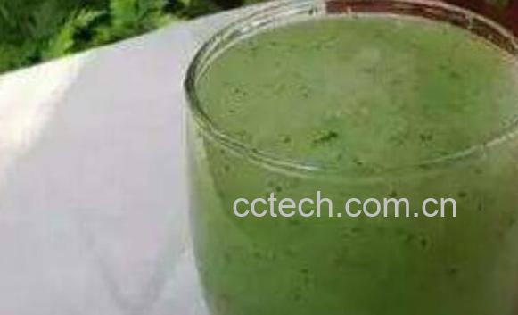 冬瓜汁的功效与作用 冬瓜汁的副作用-1