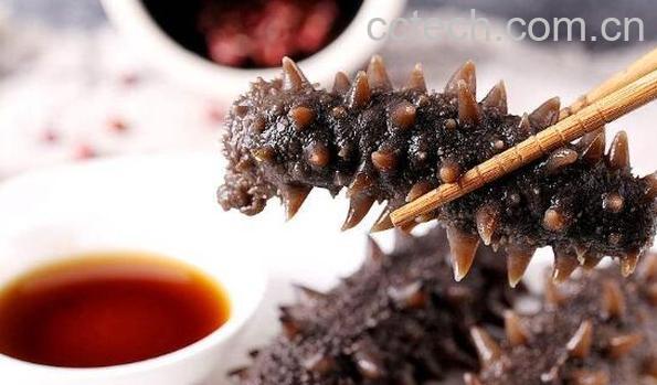 正确泡发海参的方法-1