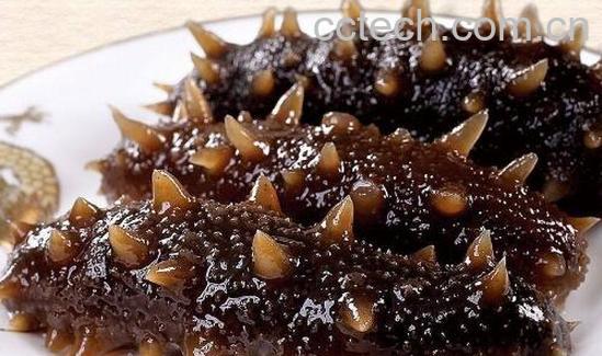 正确泡发海参的方法-0