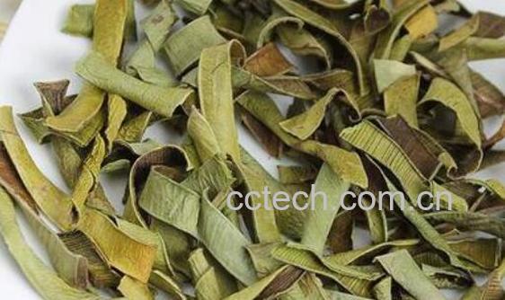 如何制作芦荟干 芦荟干的制作方法-0