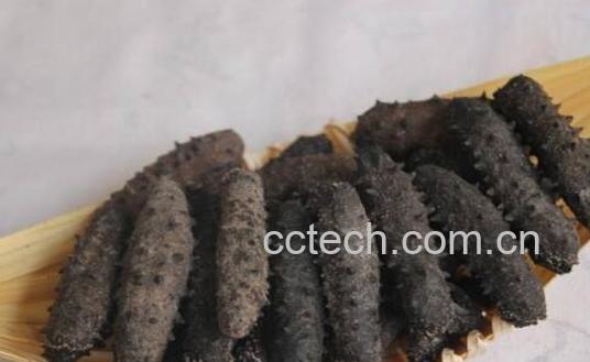 海参皮怎么泡发 怎么样正确泡发海参皮-1