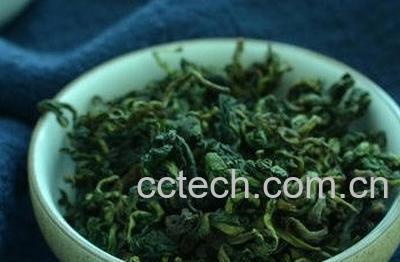蒲公英茶叶的功效与作用-1