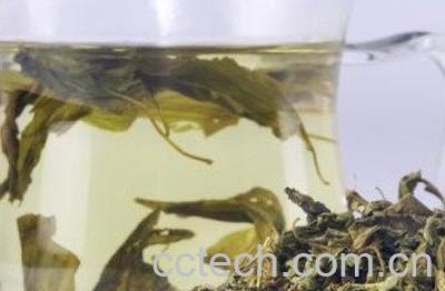 婆婆丁茶的功效与作用-0