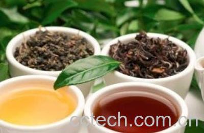  蒲公英茶哪些人不宜喝 长期喝蒲公英茶副作用-1