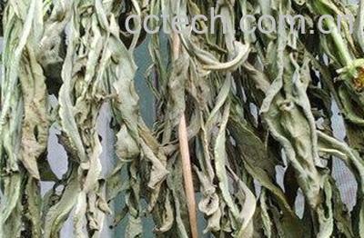 婆婆丁茶的功效与作用-1