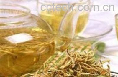 婆婆丁水的功效与作用 婆婆丁水什么人不能喝-1