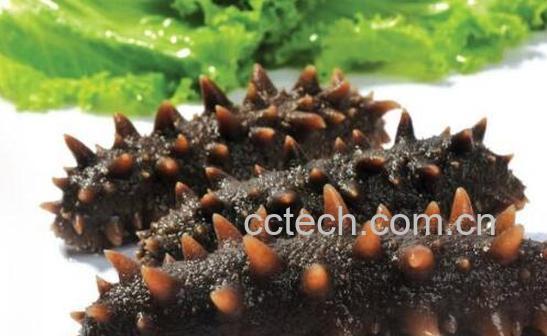 如何水发干海参-0