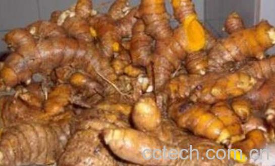 黄姜对女性的功效-1