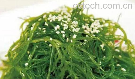 海藻菜的功效与作用及食用方法-0