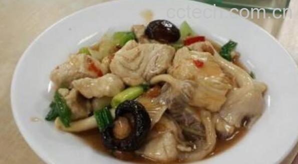 鲨鱼肉为什么那么臭 鲨鱼肉怎么做好吃-1